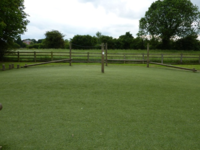 Playing field